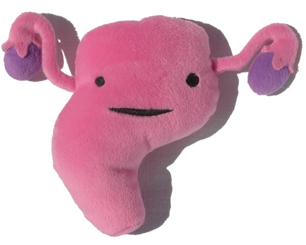 Uterus womb Fallopian tubes toy doll