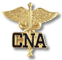 How Getting a CNA Certification Can Get you Started in Healthcare - image6