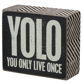 YOLO you only live once