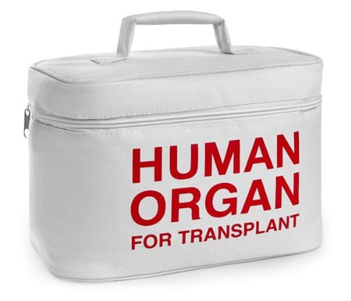 Organ Transport Lunch Cooler