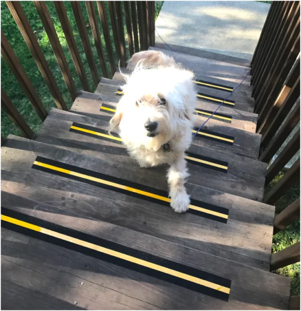 leeloo steps with anti skid post-its