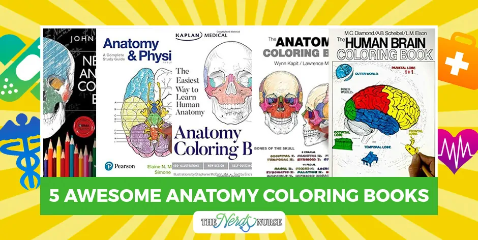 Human Brain Student's Self-Test Coloring Book (Barron's Test Prep)