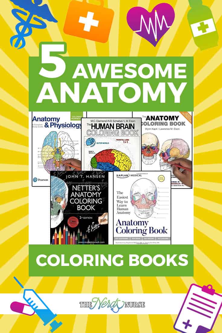 If you’re a student, anatomy coloring books are a great way to enhance your knowledge and comprehension of the human body. They help you improve comprehension and teach you the essentials of a human body through visualizations that are easy to recall. Here’s a list of five awesome anatomy coloring books that will help you master the human anatomy with fun, interactive coloring tasks. Many of them also include interesting facts about the anatomy, that will keep you engaged.
