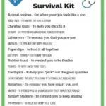 Make Your Own New Nurse Survival Kit