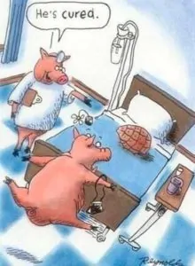 Cured Ham Pun Cartoon