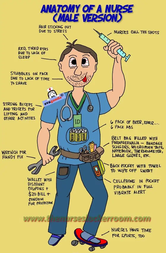 Anatomy of a Male Nurse