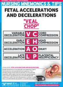 OB Nursing Mnemonics You Need to Know in Labor and Delivery