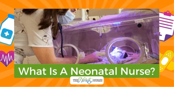 What Is A Neonatal Nurse? Is This Job For You?