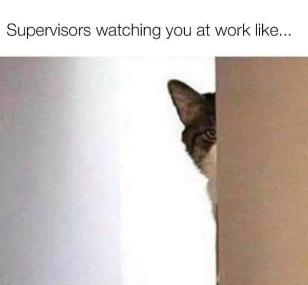 Supervisors watching you funny CNA meme 