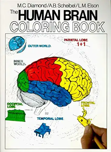 The Human Brain Coloring Book (Coloring Concepts Series)